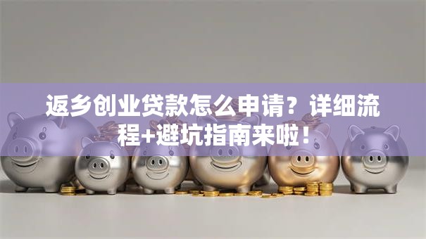 返乡创业贷款怎么申请？详细流程+避坑指南来啦！