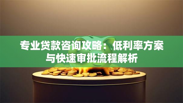 专业贷款咨询攻略：低利率方案与快速审批流程解析