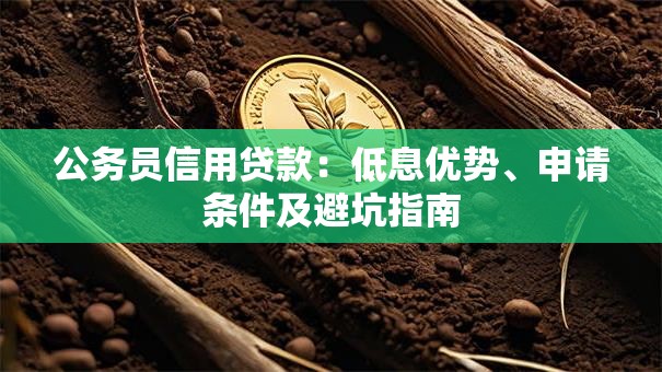 公务员信用贷款：低息优势、申请条件及避坑指南