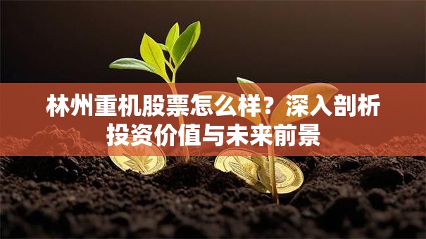 林州重机股票怎么样？深入剖析投资价值与未来前景