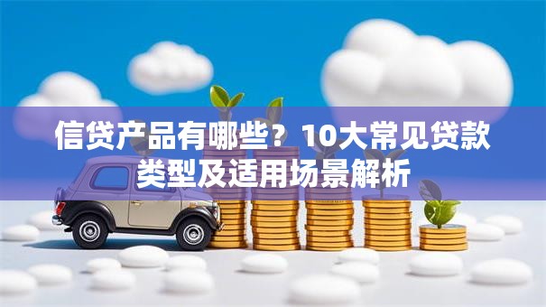 信贷产品有哪些？10大常见贷款类型及适用场景解析
