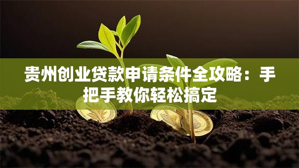 贵州创业贷款申请条件全攻略：手把手教你轻松搞定