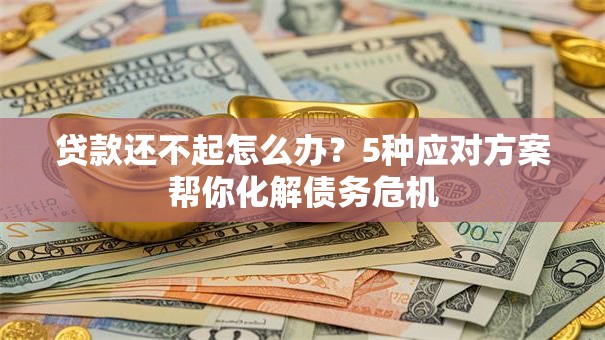贷款还不起怎么办？5种应对方案帮你化解债务危机