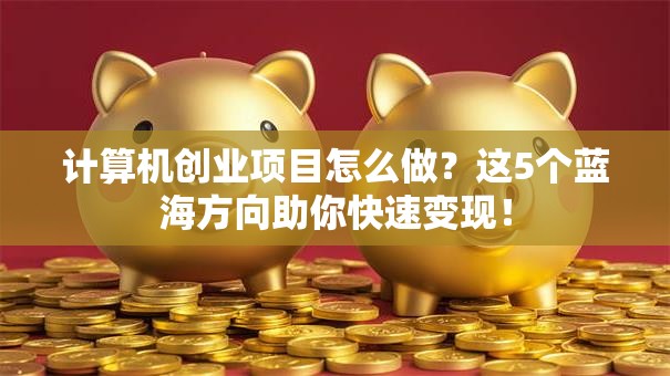 计算机创业项目怎么做？这5个蓝海方向助你快速变现！