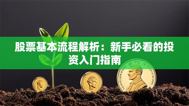 股票基本流程解析：新手必看的投资入门指南