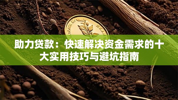 助力贷款：快速解决资金需求的十大实用技巧与避坑指南