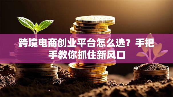 跨境电商创业平台怎么选？手把手教你抓住新风口