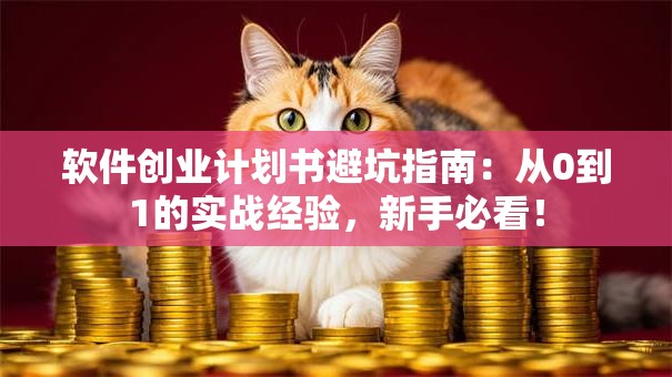 软件创业计划书避坑指南：从0到1的实战经验，新手必看！