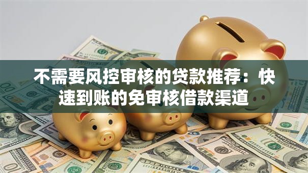 不需要风控审核的贷款推荐：快速到账的免审核借款渠道
