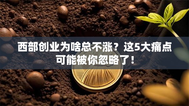 西部创业为啥总不涨？这5大痛点可能被你忽略了！