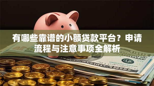 有哪些靠谱的小额贷款平台？申请流程与注意事项全解析