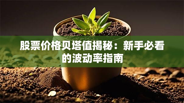 股票价格贝塔值揭秘：新手必看的波动率指南