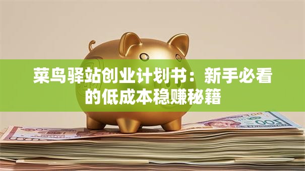 菜鸟驿站创业计划书：新手必看的低成本稳赚秘籍