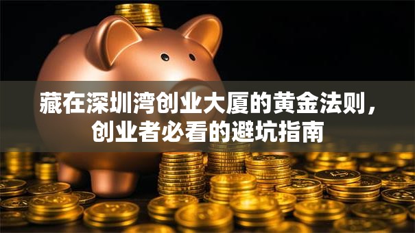 藏在深圳湾创业大厦的黄金法则，创业者必看的避坑指南