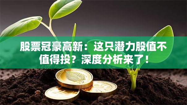 股票冠豪高新：这只潜力股值不值得投？深度分析来了！