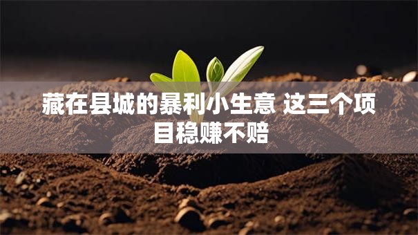 藏在县城的暴利小生意 这三个项目稳赚不赔