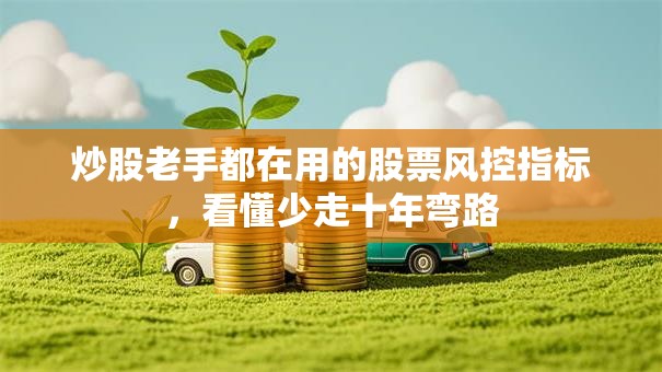 炒股老手都在用的股票风控指标，看懂少走十年弯路