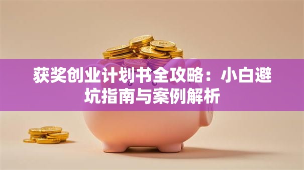 获奖创业计划书全攻略：小白避坑指南与案例解析