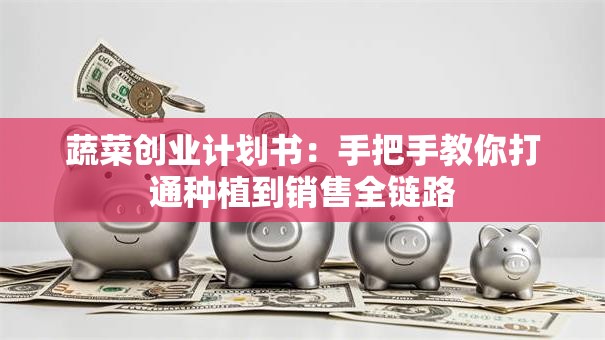 蔬菜创业计划书：手把手教你打通种植到销售全链路
