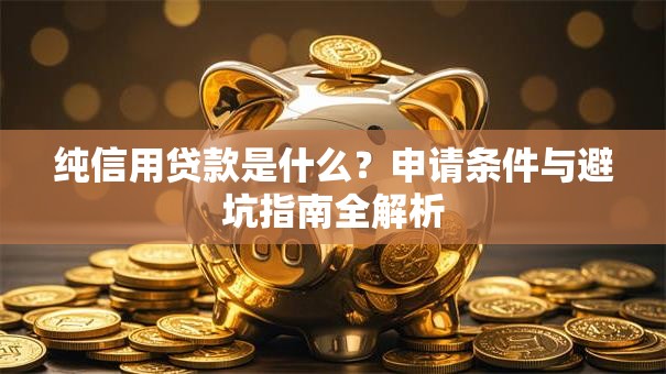 纯信用贷款是什么？申请条件与避坑指南全解析