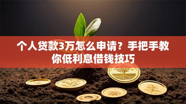 个人贷款3万怎么申请？手把手教你低利息借钱技巧