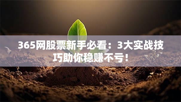 365网股票新手必看：3大实战技巧助你稳赚不亏！