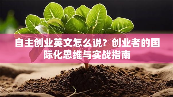 自主创业英文怎么说？创业者的国际化思维与实战指南
