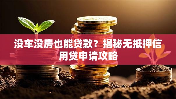 没车没房也能贷款？揭秘无抵押信用贷申请攻略