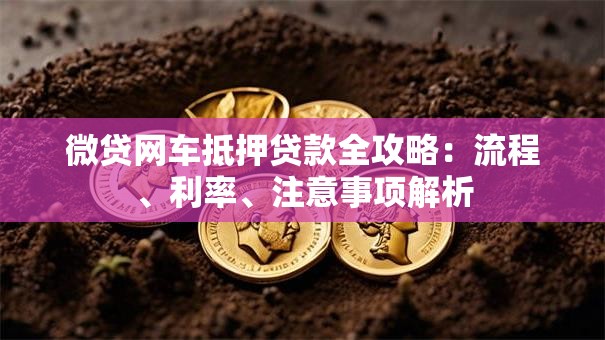 微贷网车抵押贷款全攻略：流程、利率、注意事项解析