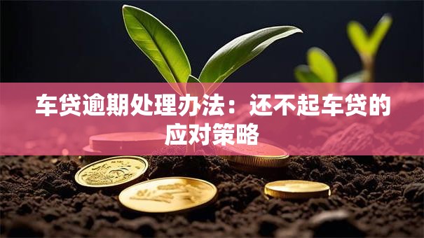 车贷逾期处理办法：还不起车贷的应对策略