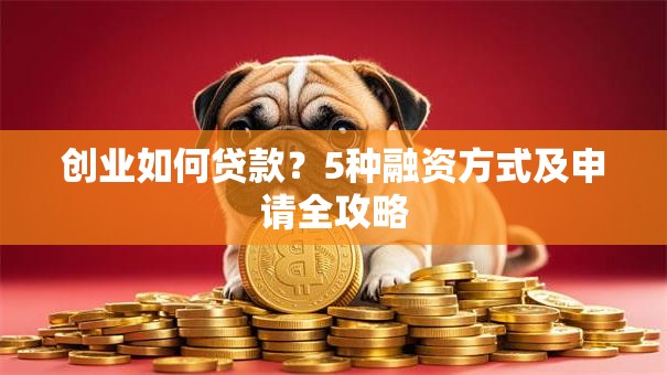 创业如何贷款？5种融资方式及申请全攻略