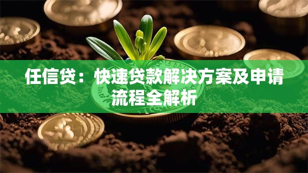 任信贷：快速贷款解决方案及申请流程全解析