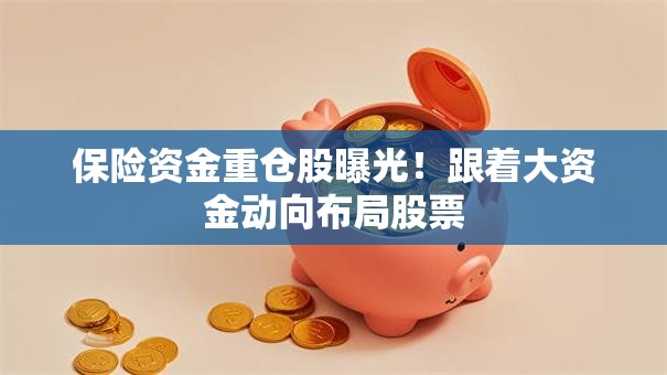 保险资金重仓股曝光！跟着大资金动向布局股票