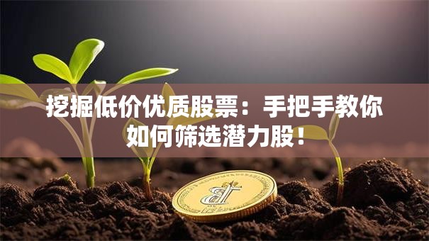 挖掘低价优质股票：手把手教你如何筛选潜力股！