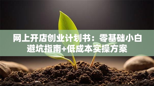 网上开店创业计划书：零基础小白避坑指南+低成本实操方案