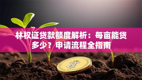 林权证贷款额度解析：每亩能贷多少？申请流程全指南