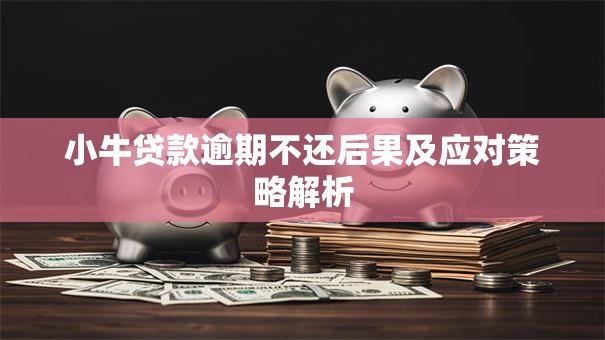 小牛贷款逾期不还后果及应对策略解析