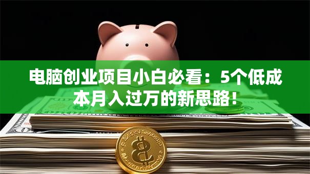 电脑创业项目小白必看：5个低成本月入过万的新思路！