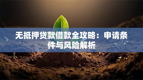 无抵押贷款借款全攻略：申请条件与风险解析