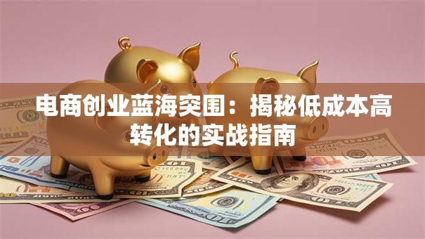 电商创业蓝海突围：揭秘低成本高转化的实战指南