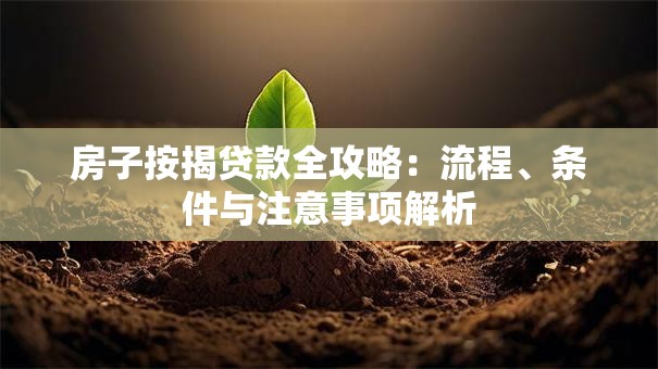 房子按揭贷款全攻略：流程、条件与注意事项解析