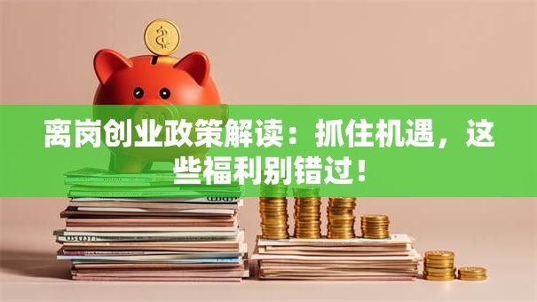 离岗创业政策解读：抓住机遇，这些福利别错过！