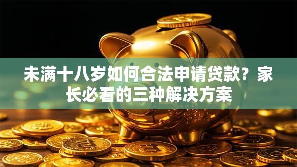 未满十八岁如何合法申请贷款？家长必看的三种解决方案