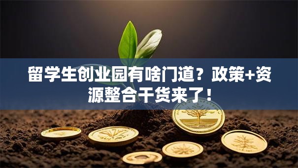 留学生创业园有啥门道？政策+资源整合干货来了！