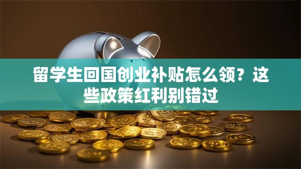 留学生回国创业补贴怎么领？这些政策红利别错过
