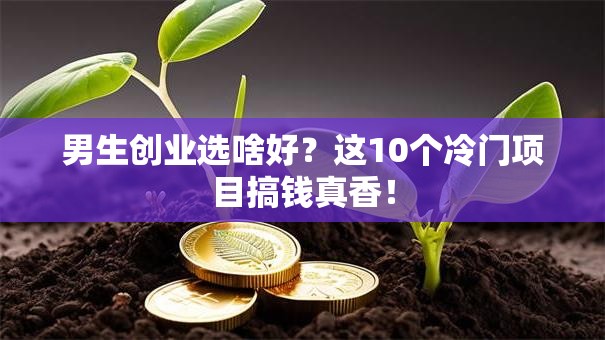 男生创业选啥好？这10个冷门项目搞钱真香！