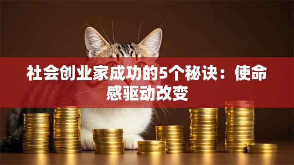 社会创业家成功的5个秘诀：使命感驱动改变