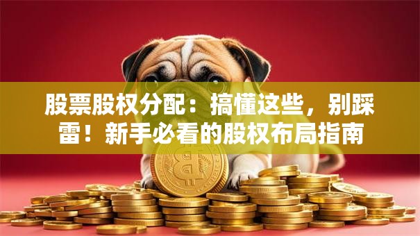 股票股权分配：搞懂这些，别踩雷！新手必看的股权布局指南