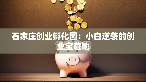 石家庄创业孵化园：小白逆袭的创业宝藏地