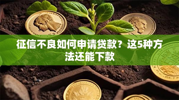 征信不良如何申请贷款？这5种方法还能下款